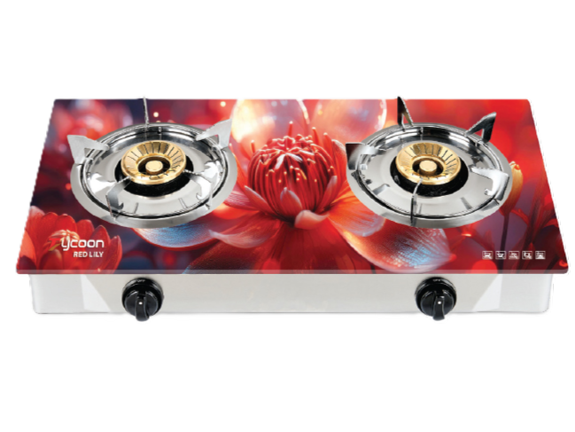Gas Stove
